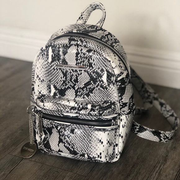 steve madden snakeskin backpack